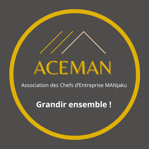 Aceman logo 4