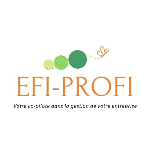 EFI-PROFI